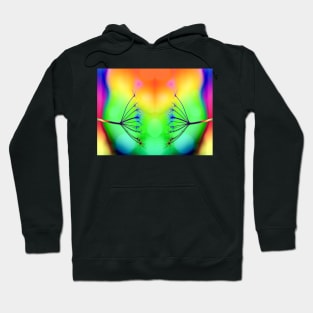 Rainbow Queen Anne Lace Hoodie